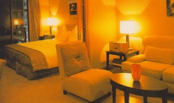Ascott Metropolis