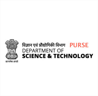 DST-PURSE